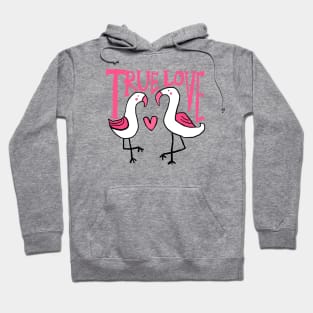 true love, flamingo Hoodie